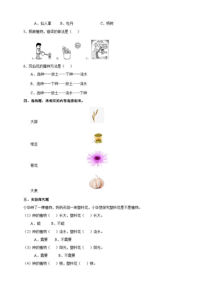 新教科版（2017）科学一年级上册 1.1《我们知道的植物》课件+教案+练习+素材02