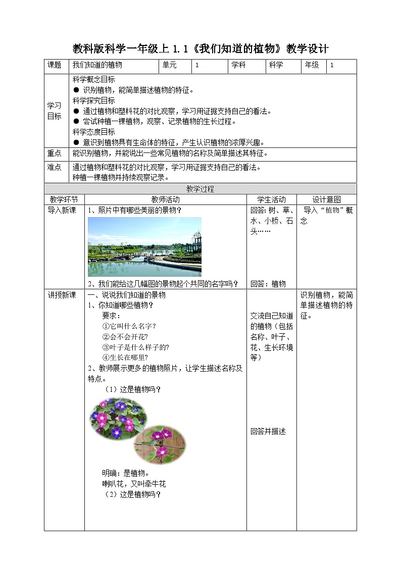 新教科版（2017）科学一年级上册 1.1《我们知道的植物》课件+教案+练习+素材01