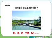 新教科版（2017）科学一年级上册 1.1《我们知道的植物》课件+教案+练习+素材