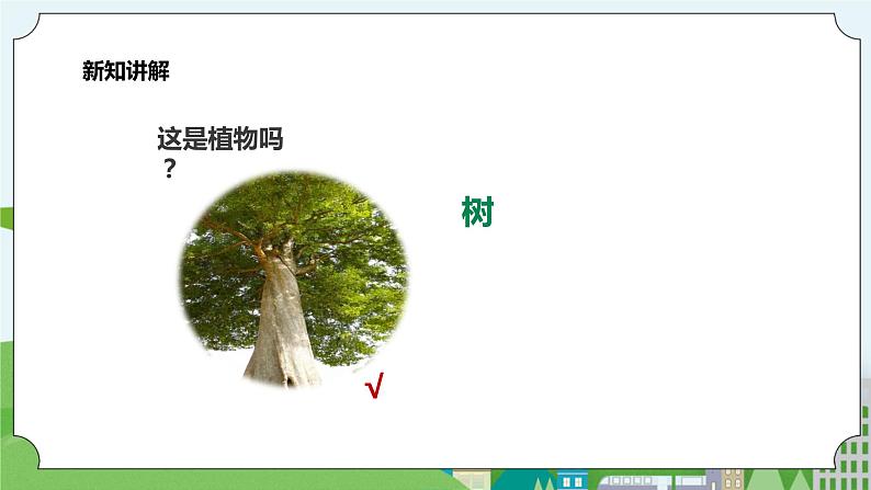新教科版（2017）科学一年级上册 1.1《我们知道的植物》课件+教案+练习+素材06