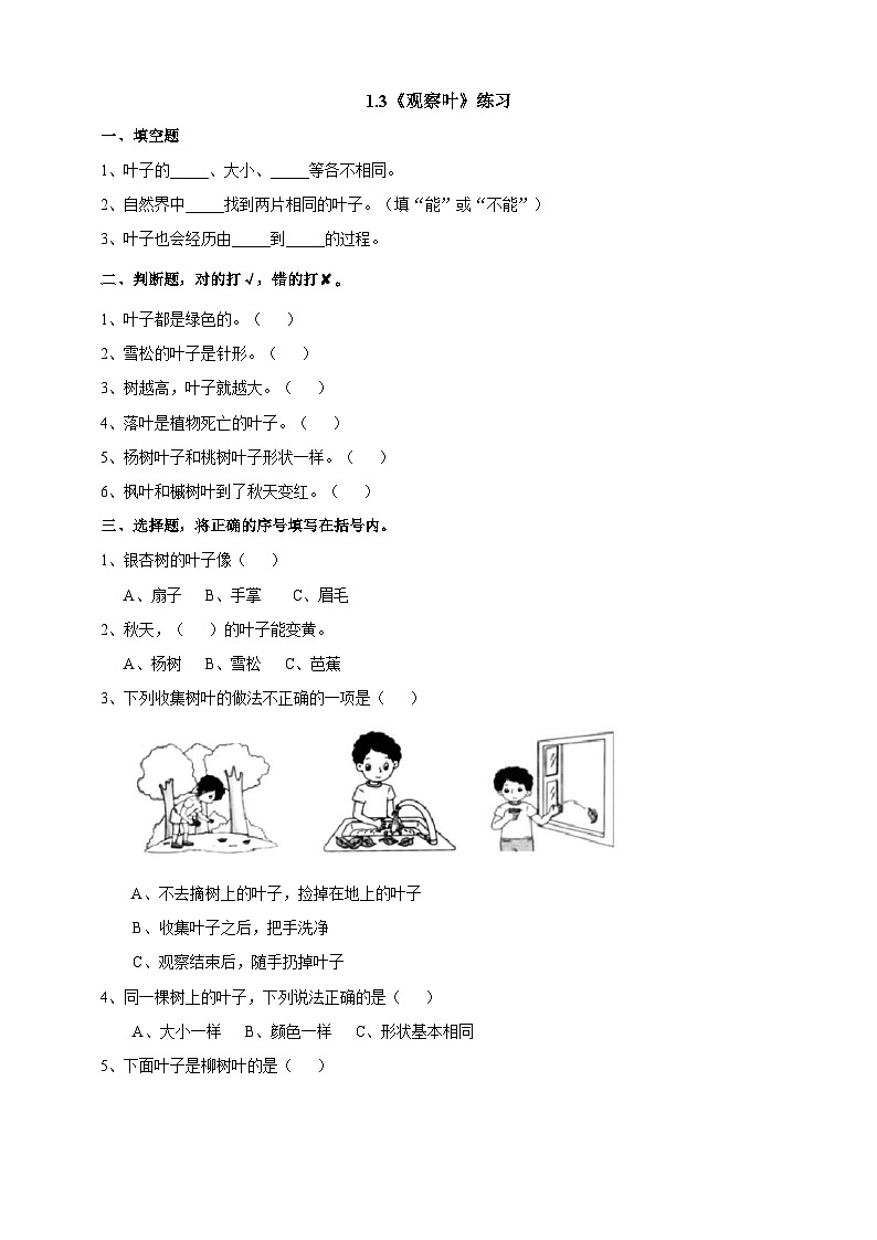 新教科版（2017）科学一年级上册 1.3《观察叶》课件+教案+练习+素材01