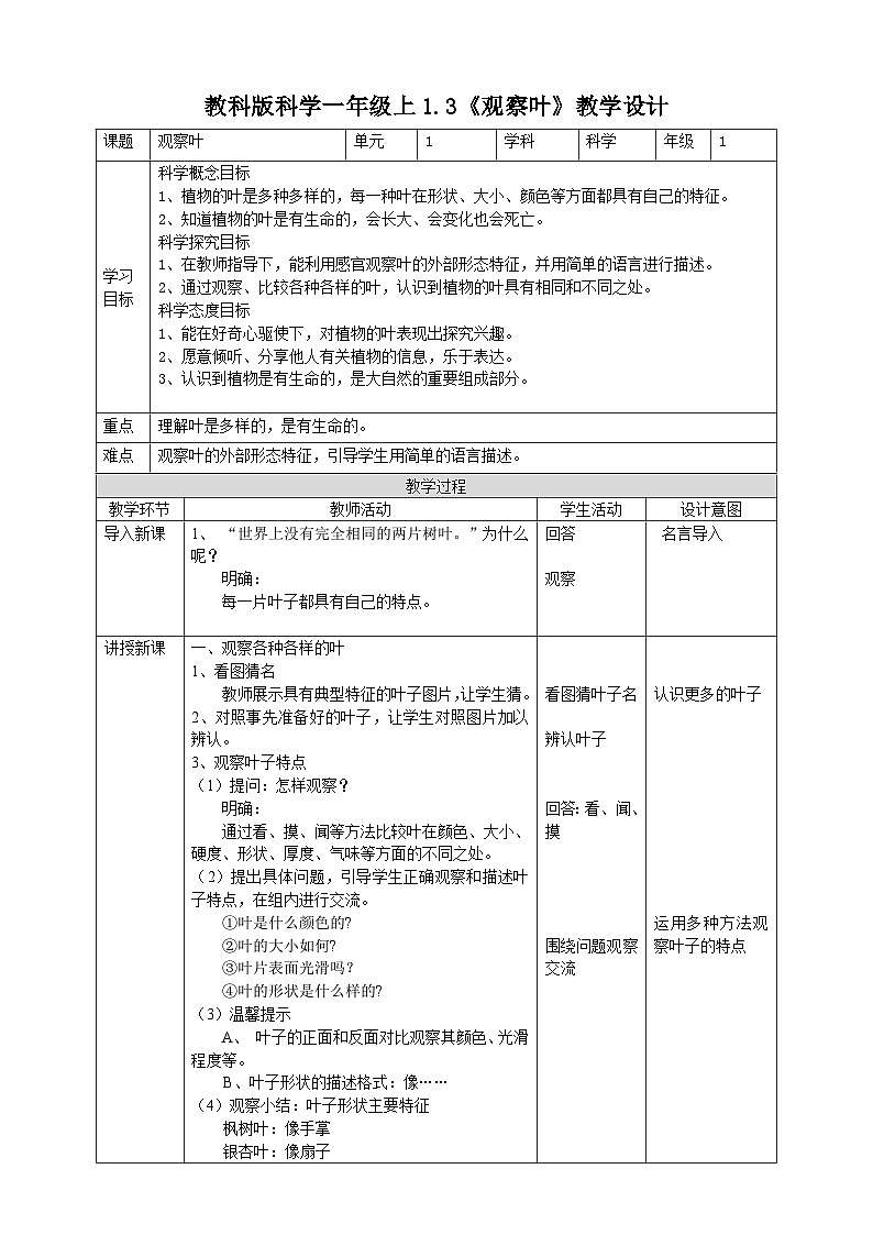 新教科版（2017）科学一年级上册 1.3《观察叶》课件+教案+练习+素材01