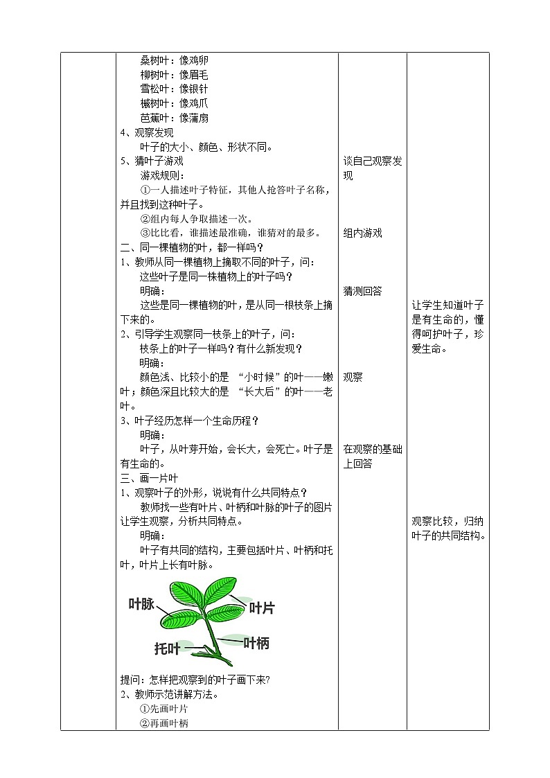 新教科版（2017）科学一年级上册 1.3《观察叶》课件+教案+练习+素材02