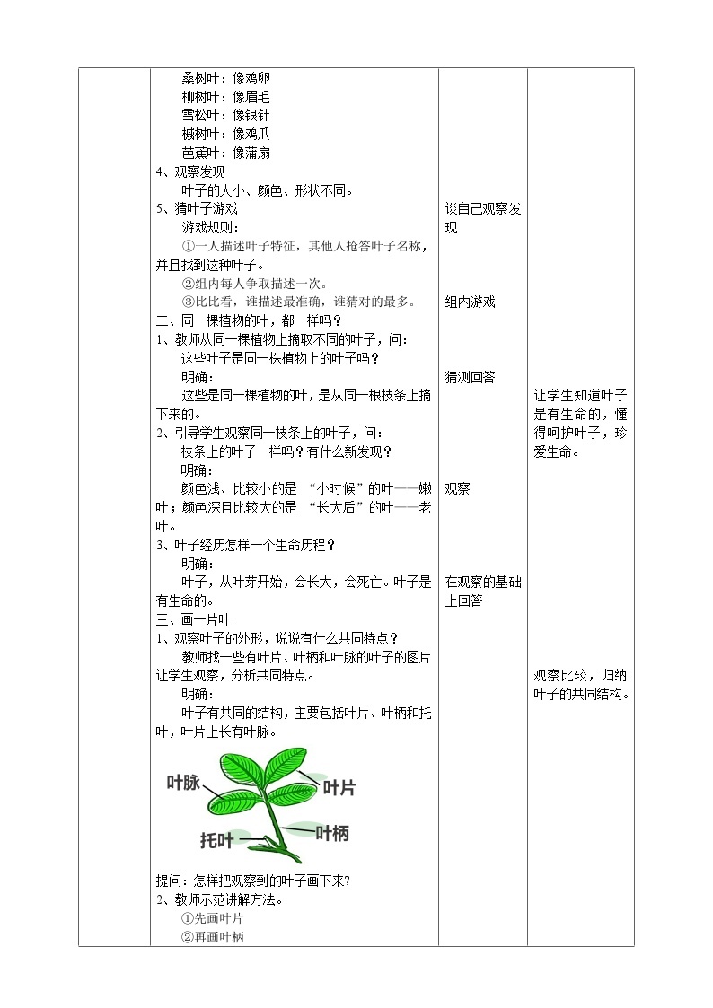 新教科版（2017）科学一年级上册 1.3《观察叶》课件+教案+练习+素材02