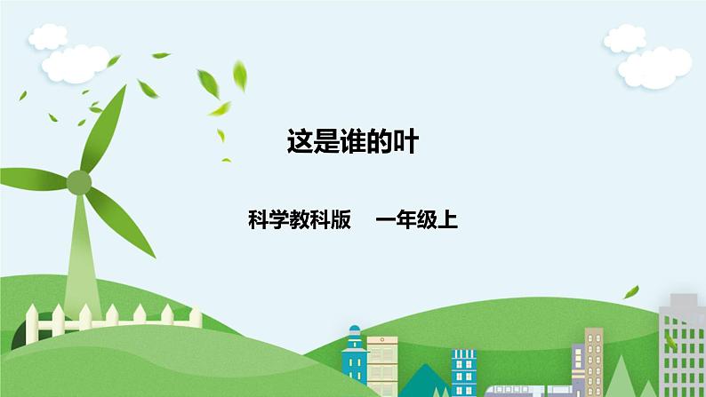 新教科版（2017）科学一年级上册 1.4《这是谁的叶》课件+教案+练习+素材01