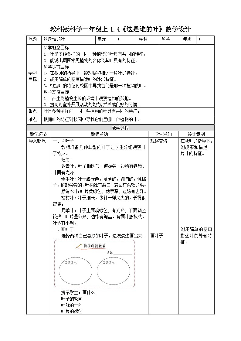 新教科版（2017）科学一年级上册 1.4《这是谁的叶》课件+教案+练习+素材01