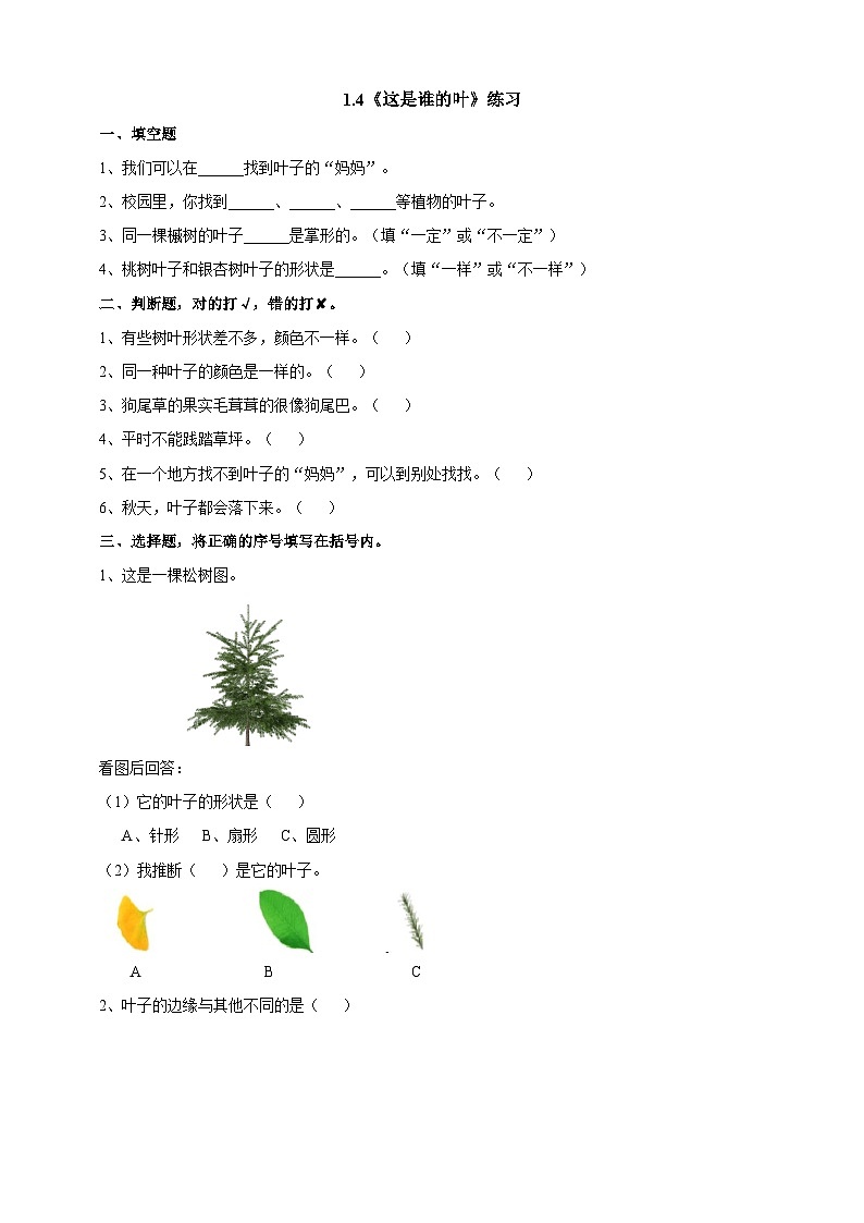 新教科版（2017）科学一年级上册 1.4《这是谁的叶》课件+教案+练习+素材01