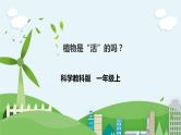 新教科版（2017）科学一年级上册 1.5《植物是“活”的吗？》课件+教案+练习+素材