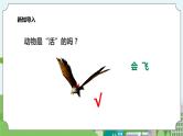 新教科版（2017）科学一年级上册 1.5《植物是“活”的吗？》课件+教案+练习+素材