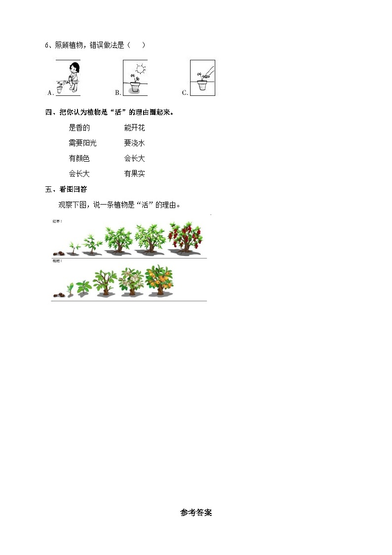 新教科版（2017）科学一年级上册 1.5《植物是“活”的吗？》课件+教案+练习+素材02