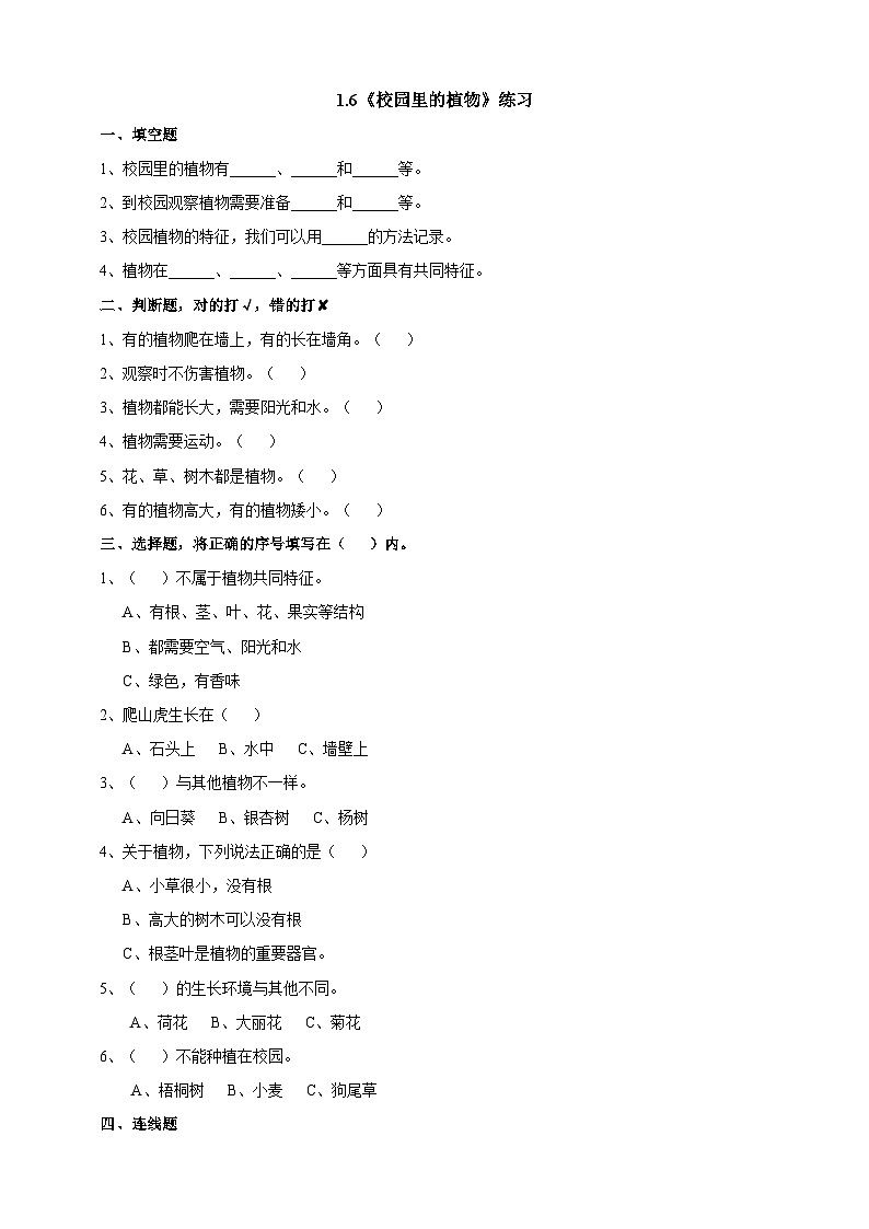 新教科版（2017）科学一年级上册 1.6《校园里的植物》课件+教案+练习+素材01