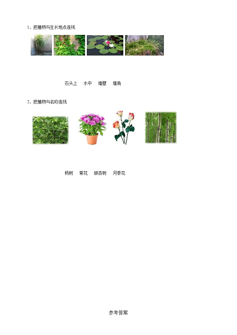 新教科版（2017）科学一年级上册 1.6《校园里的植物》课件+教案+练习+素材02
