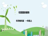 新教科版（2017）科学一年级上册 1.6《校园里的植物》课件+教案+练习+素材