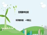 新教科版（2017）科学一年级上册 2.1《在观察中比较》课件+教案+练习+素材