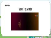新教科版（2017）科学一年级上册 2.1《在观察中比较》课件+教案+练习+素材