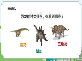新教科版（2017）科学一年级上册 2.1《在观察中比较》课件+教案+练习+素材