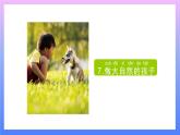 1.7 做大自然的孩子 課件+教案+練習(xí)