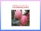1.7 做大自然的孩子 課件+教案+練習(xí)