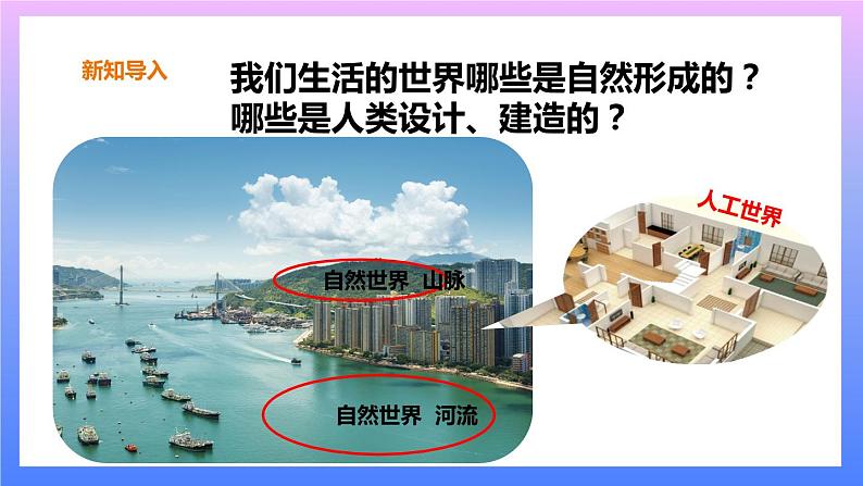 2.1《我们生活的世界》课件+教案+练习+素材02