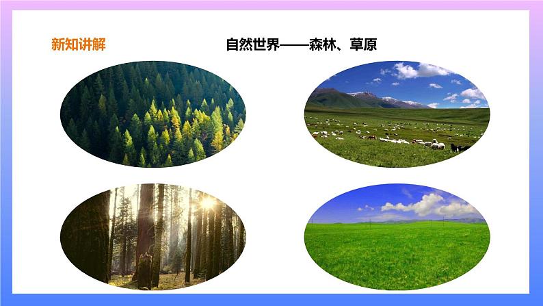 2.1《我们生活的世界》课件+教案+练习+素材05