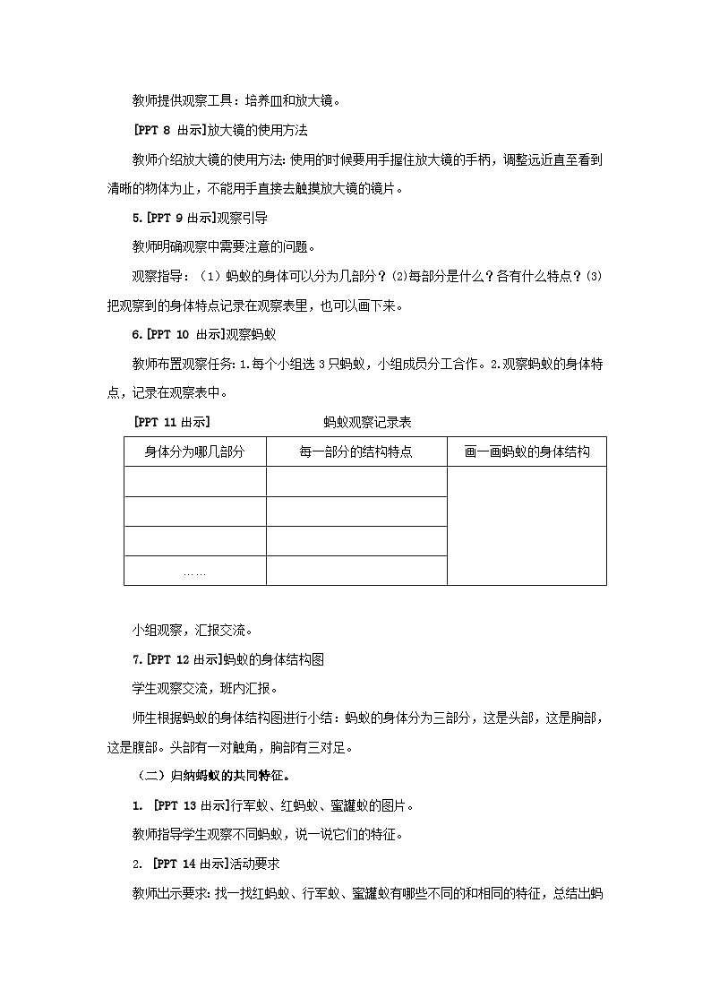 青岛版（六三制）科学四上1.1蚂蚁（课件+教案+素材）03
