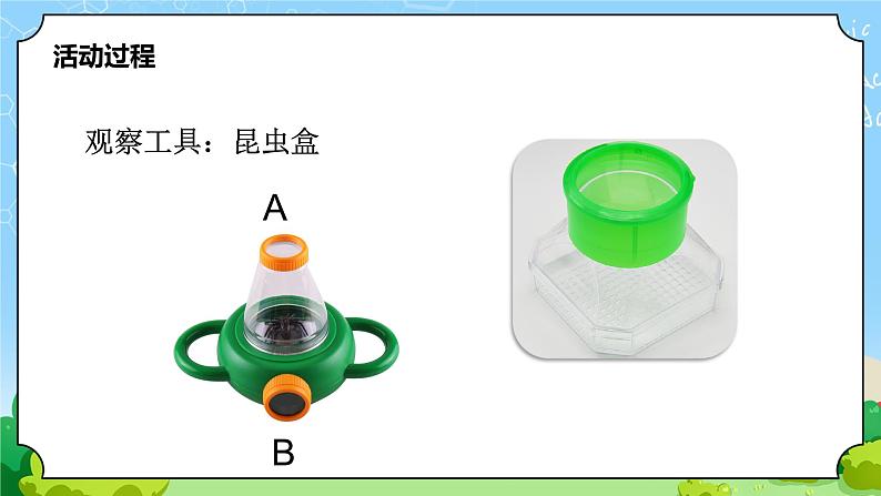 青岛版（六三制）科学四上1.1蚂蚁（课件+教案+素材）06