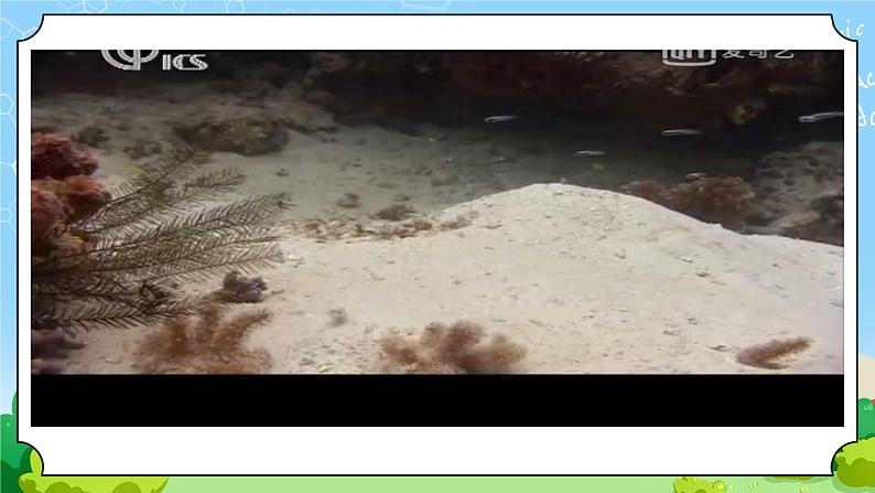 青岛版（六三制）科学四上1.2鱼（课件+教案+素材）02