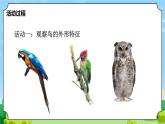 青島版（六三制）科學(xué)四上1.3.鳥（課件+教案+素材）