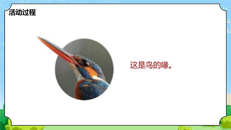 青岛版（六三制）科学四上1.3.鸟（课件+教案+素材）08