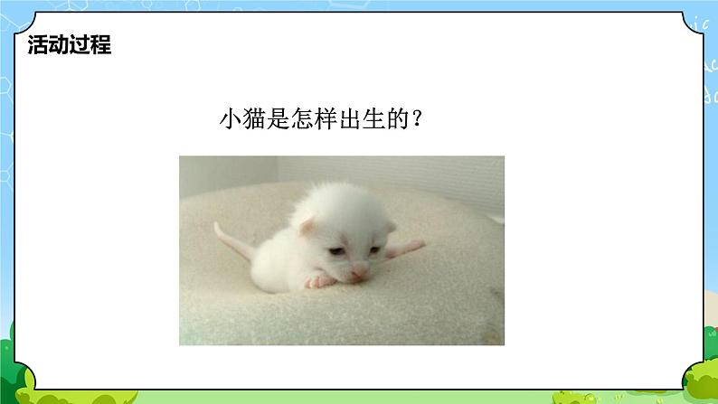 青岛版（六三制）科学四上1.4哺乳动物（课件+教案）07