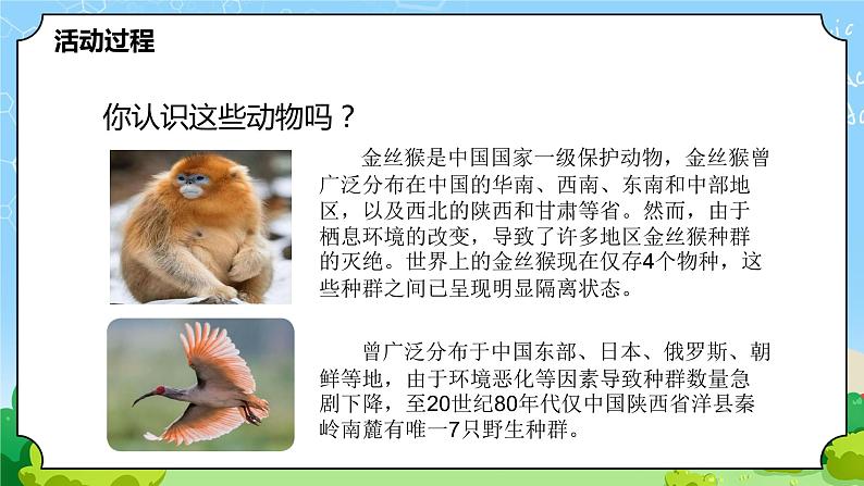 5.《我国的珍稀动物》教学课件第3页