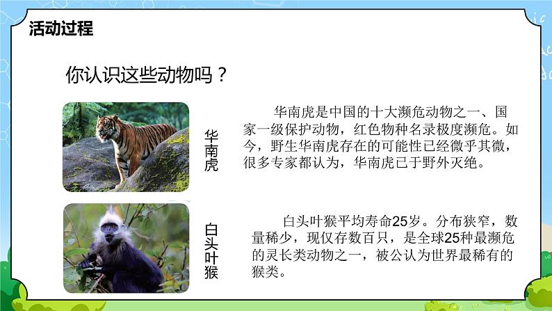 5.《我国的珍稀动物》教学课件第4页