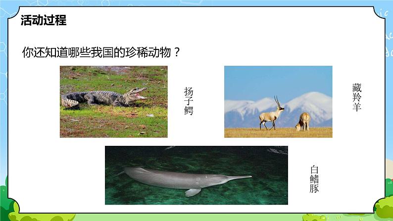 5.《我国的珍稀动物》教学课件第5页