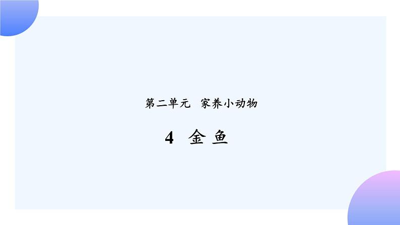 2.4 《金鱼 》课件+素材01