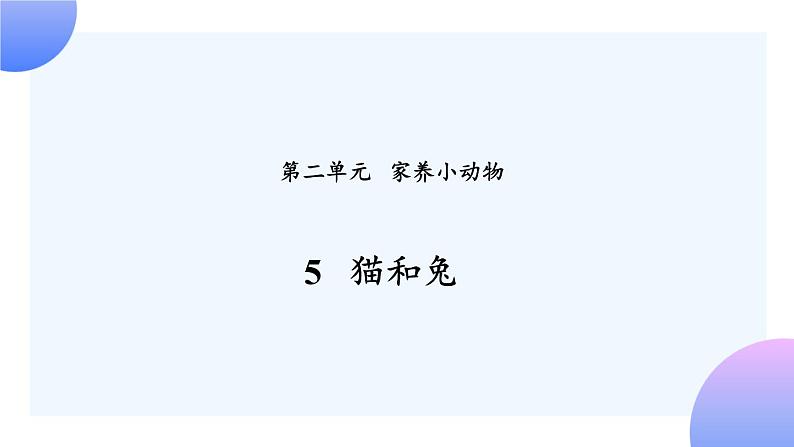 2.5 《猫和兔》 课件+素材01