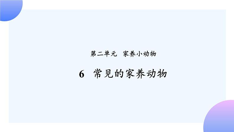 2.6《常见的家养动物》 课件+素材01