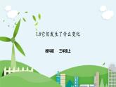 1.8《它们发生了什么变化》课件