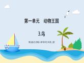 新青岛五四制科学四上3 .《鸟》教学课件