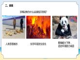 新青島五四制科學(xué)四上5.《 我國(guó)的珍稀動(dòng)物》教學(xué)課件
