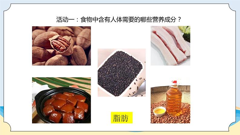 新青岛五四制科学四上15.《食物的营养》教学课件04