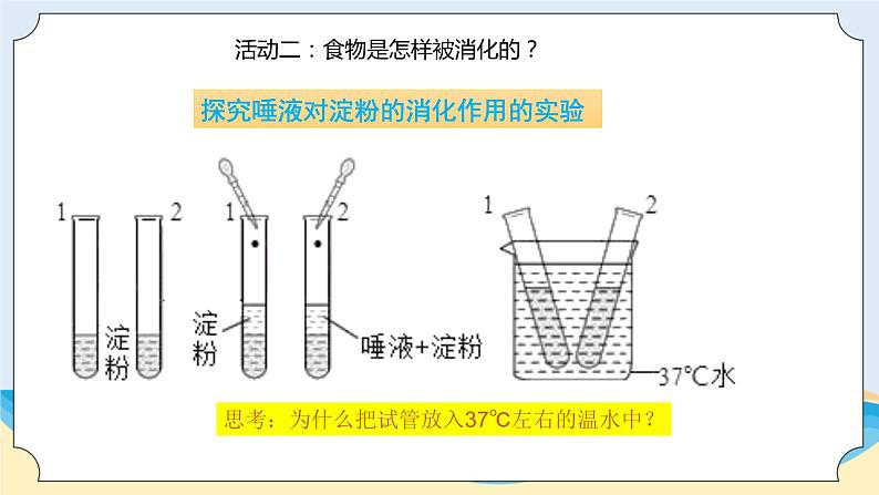 新青岛五四制科学四上16.《食物到哪里去了》教学课件08