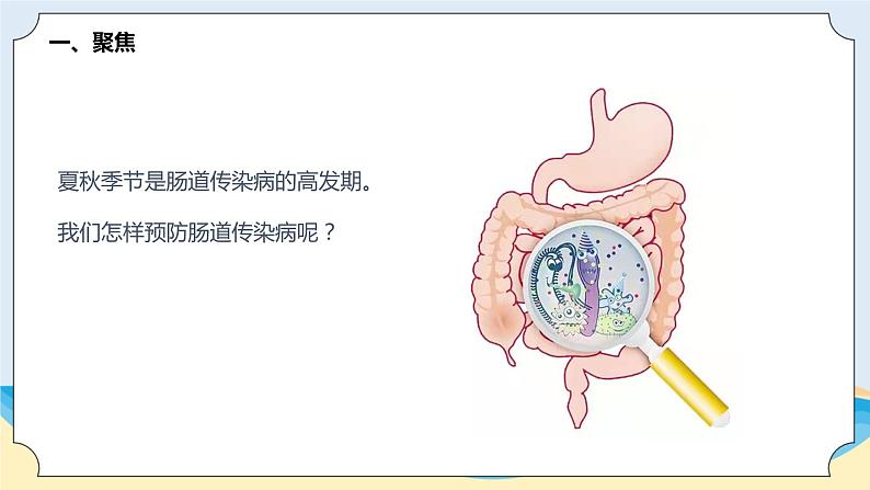 新青岛五四制科学四上17.《肠道传染病》教学课件02