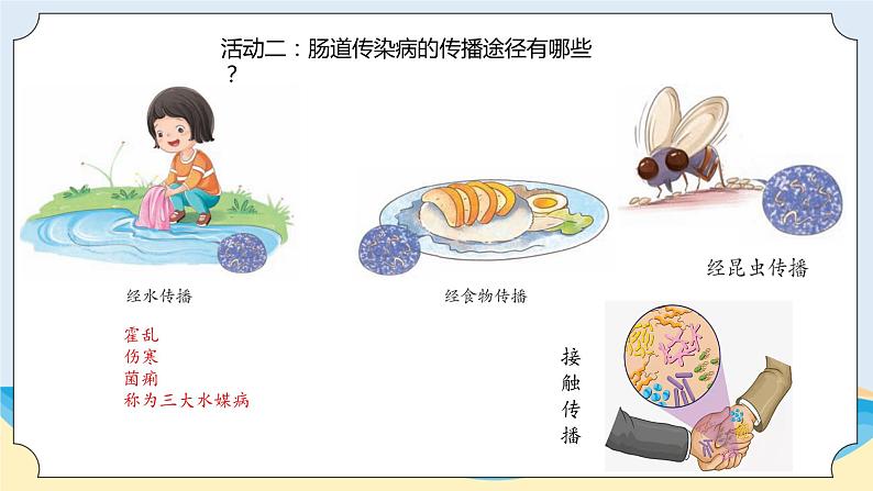 新青岛五四制科学四上17.《肠道传染病》教学课件05