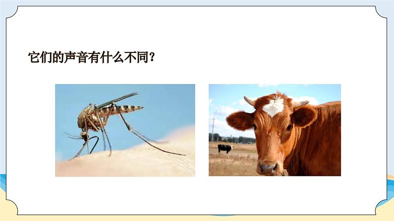 新青岛五四制科学四上22.《声音的变化》教学课件03