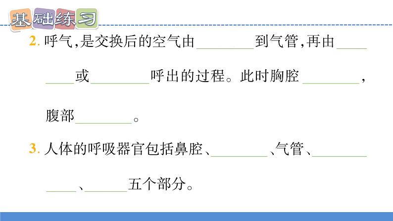 【新】教科版科学四年级上册第2单元1.感受我们的呼吸PPT课件+习题+教学设计+视频素材08