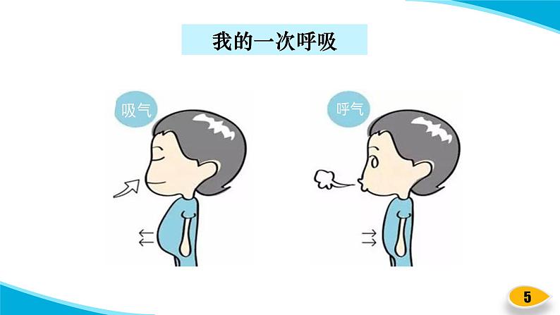【新】教科版科学四年级上册第2单元2.呼吸与健康生活PPT课件+习题+教学设计+视频素材05