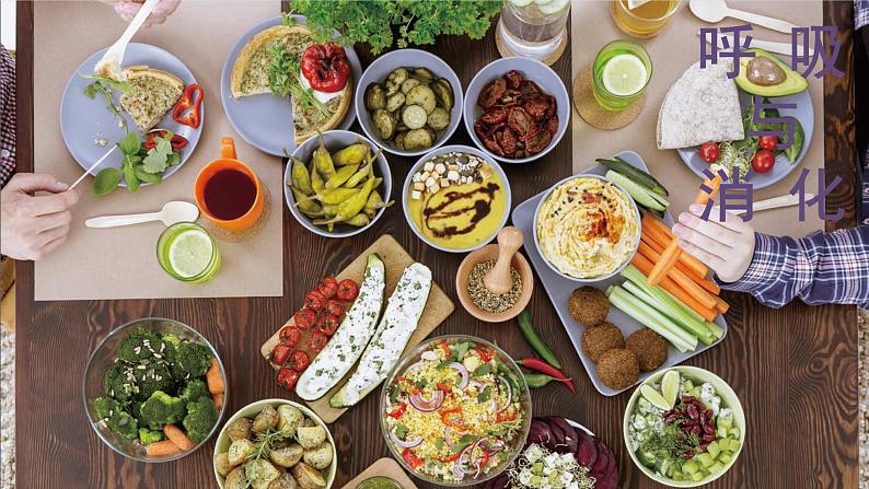 【新】教科版科学四年级上册第2单元4.一天的食物PPT课件+习题+教学设计+视频素材02