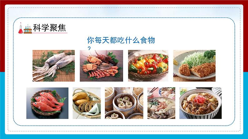 【新】教科版科学四年级上册第2单元4.一天的食物PPT课件+习题+教学设计+视频素材05