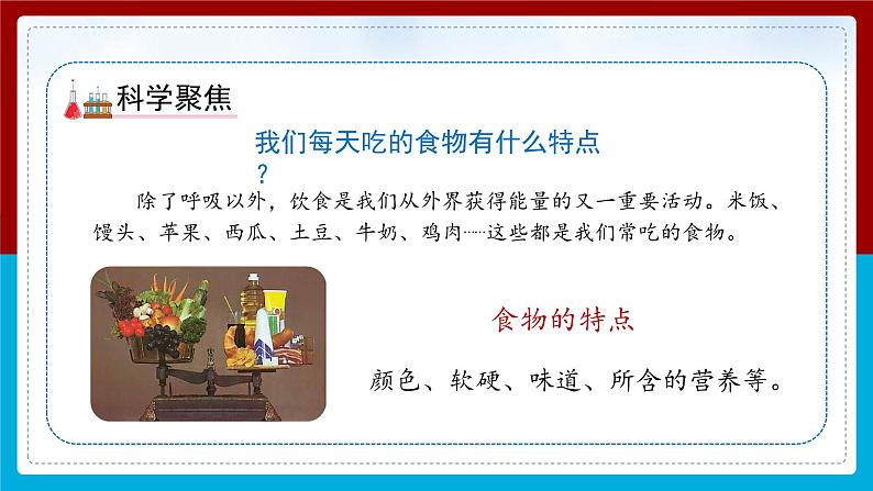 【新】教科版科学四年级上册第2单元4.一天的食物PPT课件+习题+教学设计+视频素材06