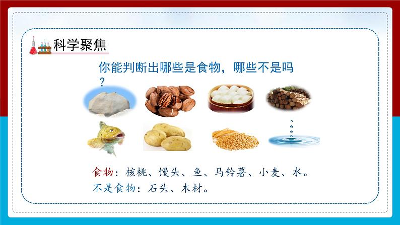 【新】教科版科学四年级上册第2单元4.一天的食物PPT课件+习题+教学设计+视频素材07